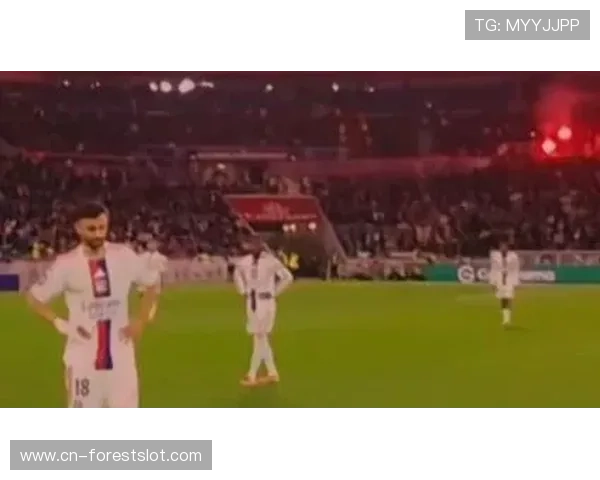 法甲球迷文化观察：德比战氛围升温助长球场经济