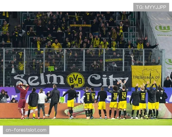 霍芬海姆2-1客胜汉堡，欧战资格争夺保持悬念